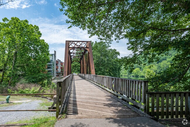 The pedestrian bridge on the Caperton Trail can be found at Hazel Ruby McQuain Park.