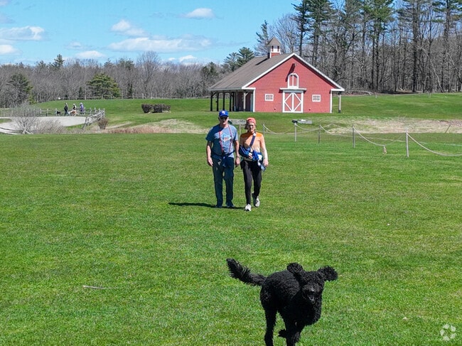 Twin Brooks is a great place for dogs to get some exercise in Cumberland Cenre.