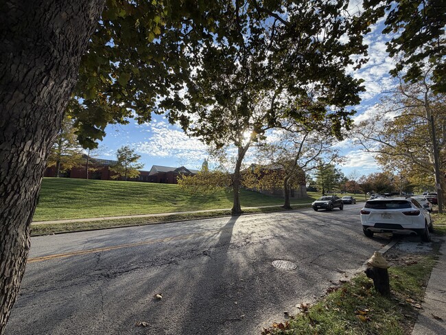 5331 Arsenal St, Saint Louis, MO 63139 - photo 4