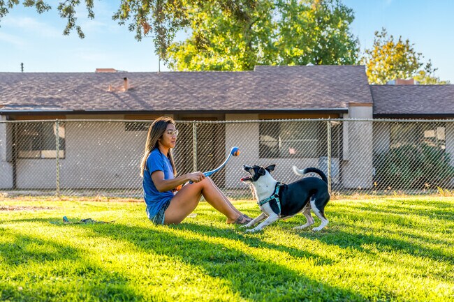 The grass field at Fourth Avenue Park is perfect for playing fetch with your dog.