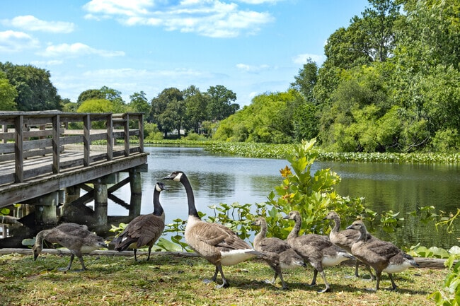 Families of all kinds love to hang out in Lofts Pond Park in Baldwin, NY.