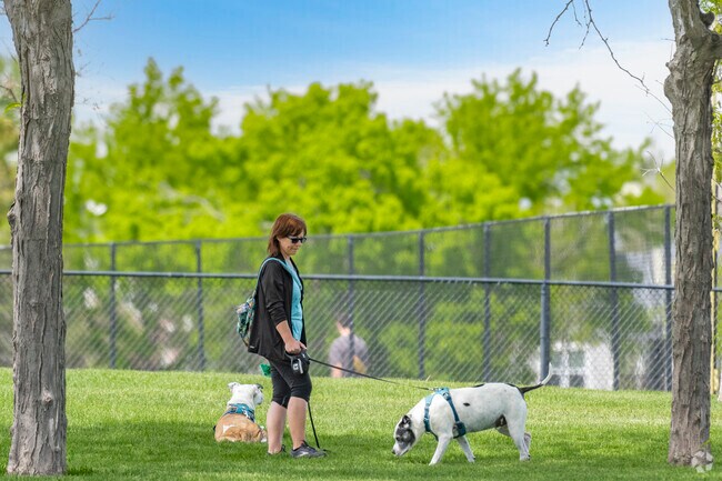 In Governor's Ranch, its an easy environment to enjoy a stroll with your fury friends.