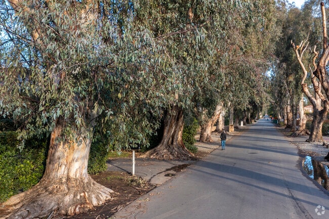 Fig Garden's walkability is celebrated by neighbors.