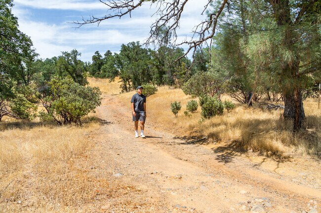 Nature lovers will enjoy the open spaces in Branstetter.