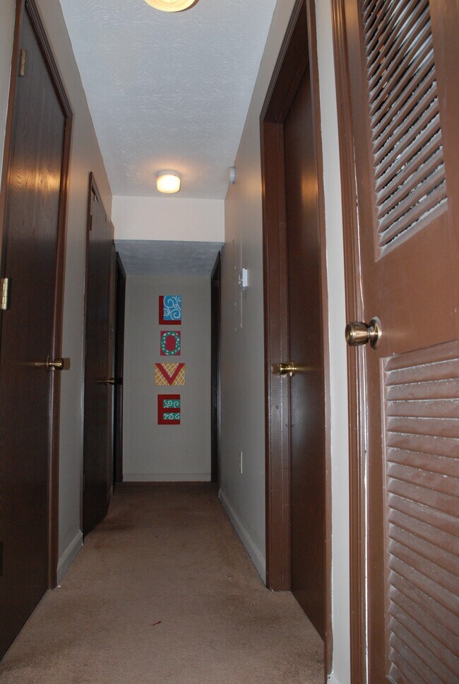127 Gazette Ave unit 1, Lexington, KY 40508 - photo 5