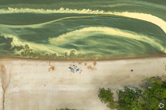 The shorelines of Jordan Lake are spotted with great beaches that The Preserve at Jordan Lake locals can enjoy all year round.