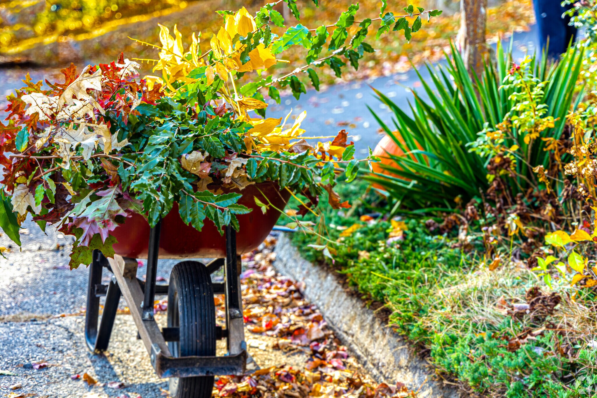 Many Indian Hill homes have lush gardens.