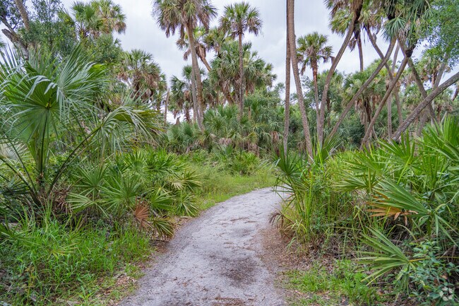 Tree views at Myakka River Park near Myakka Valley Ranches.