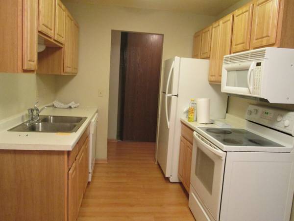 14115 Pennock Ave unit 306, Saint Paul, MN 55124 - photo 3