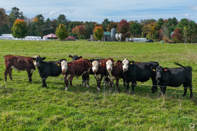 Ranches scattered throughout Durham, Maine, highlight the area’s open spaces and equestrian-friendly environment.
