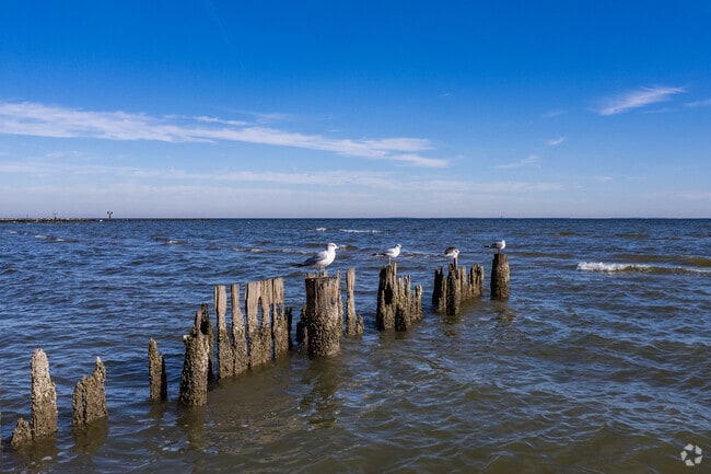 Oceanfront serenity on Chesapeake Beach's sandy stretch.