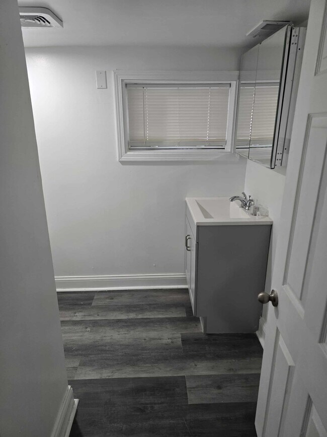 1935 Jackson Ave unit Basement, Evanston, IL 60201 - photo 3