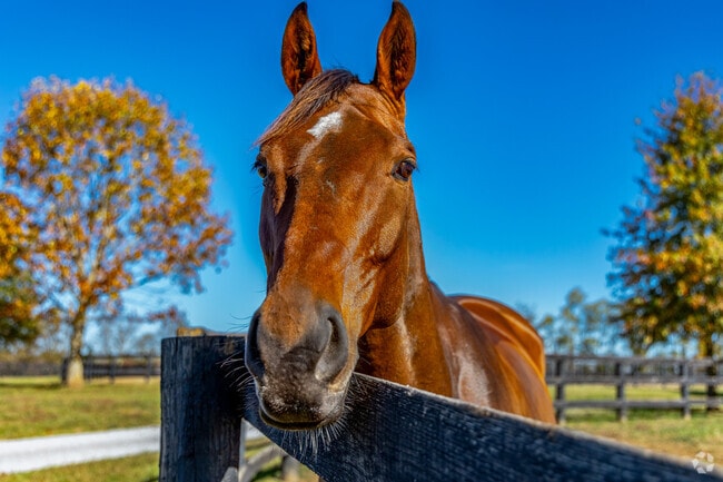 The Centerville-Nihizertown neighborhood is near the Horse Capital of the World.