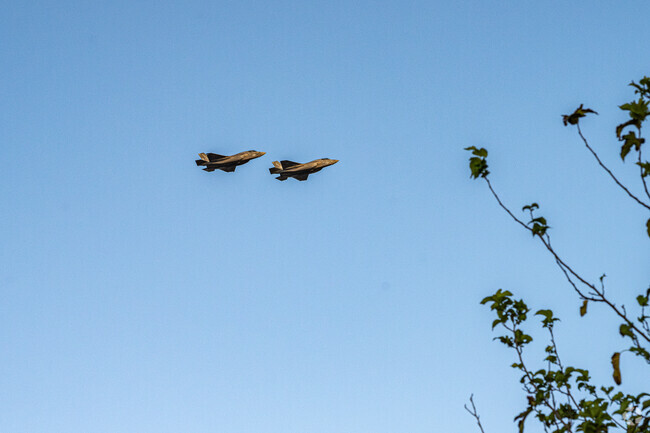 Look up and you may see an air show put on by the local US Marine Corps Base in Yuma.