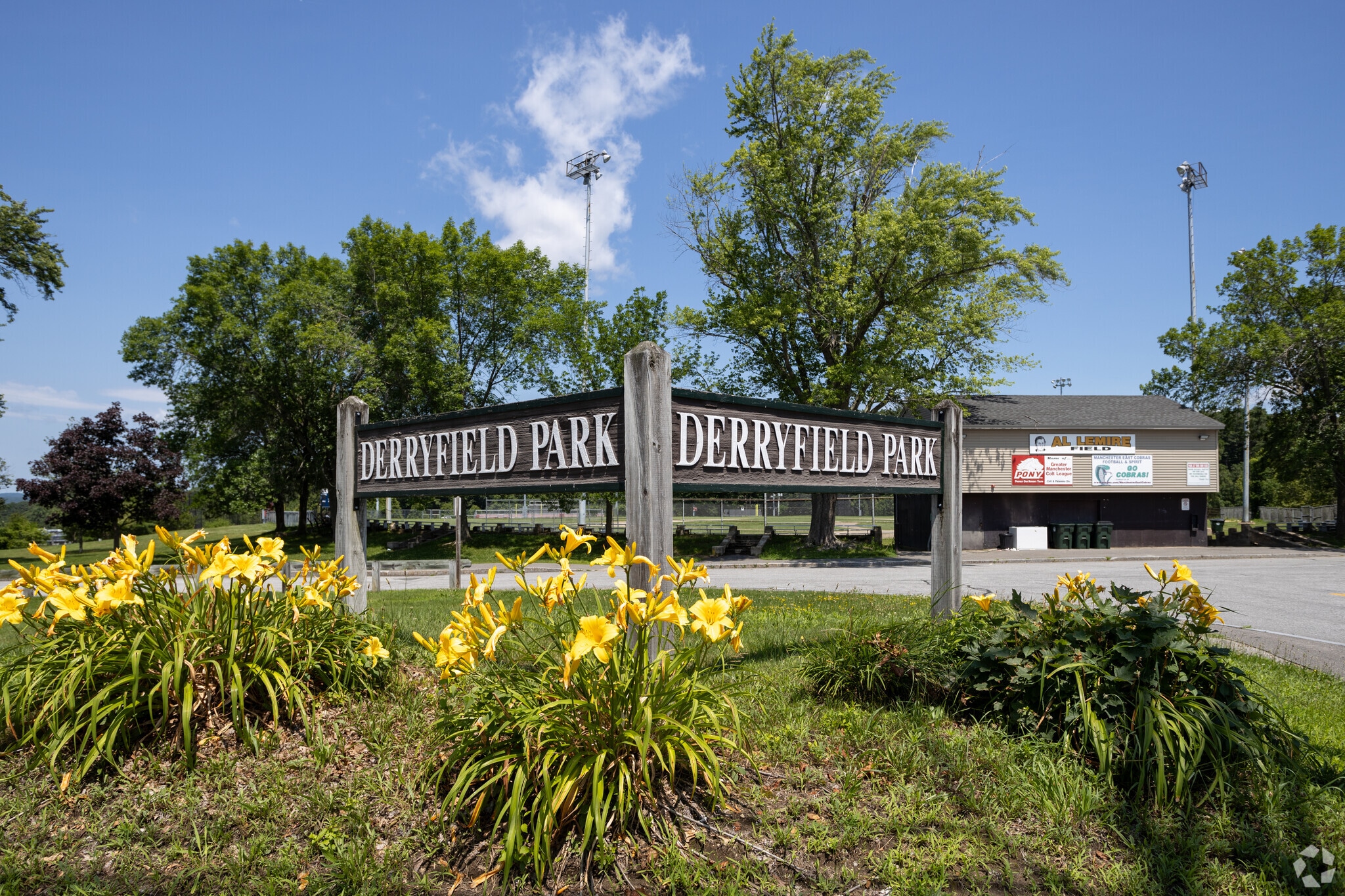 About StrawSmyth Schools, Demographics, Things to Do