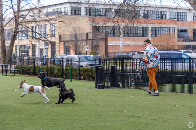 Take Fido for a run at Midtown Dog Park.