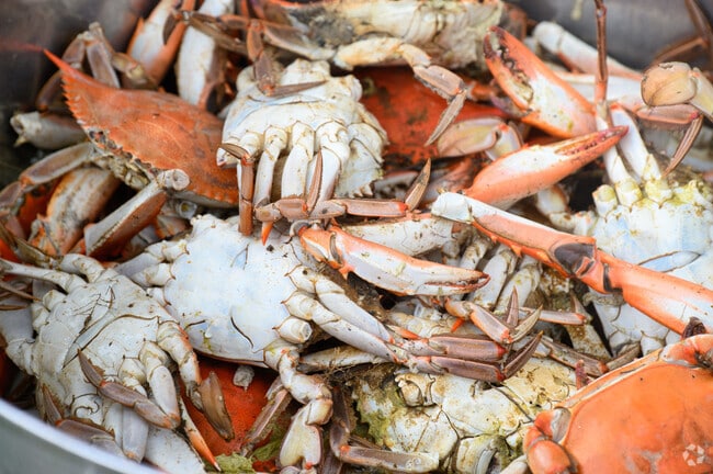 Swing by Crab Hut to enjoy fresh-cooked crabs and steamed shrimp in the Deerbourne neighborhood.