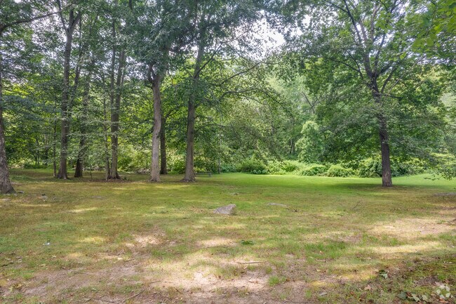 Sleepy Hollow Park in Springdale features a woodsy environment and an abundant wildlife.