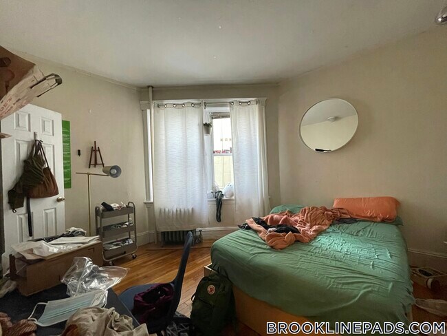 62 Egmont St unit 1, Brookline, MA 02446 - photo 3