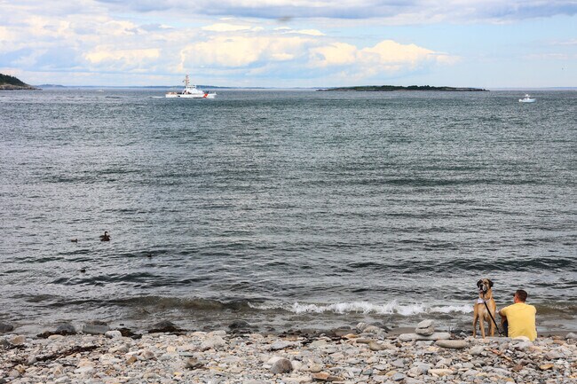 Loveitts Field's coast is a dog friendly spot.