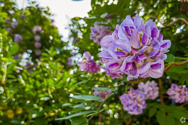 Spring has sprung in the neighborhood of W Chevy Chase Heights.