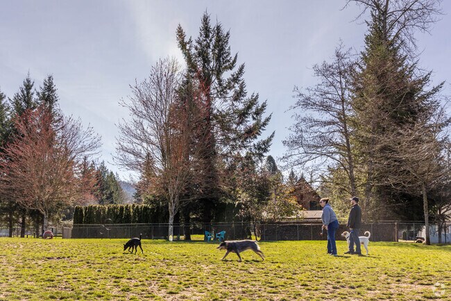 At the Enumclaw Dog Park, you can find folks exercising their furry friends throughout the day.