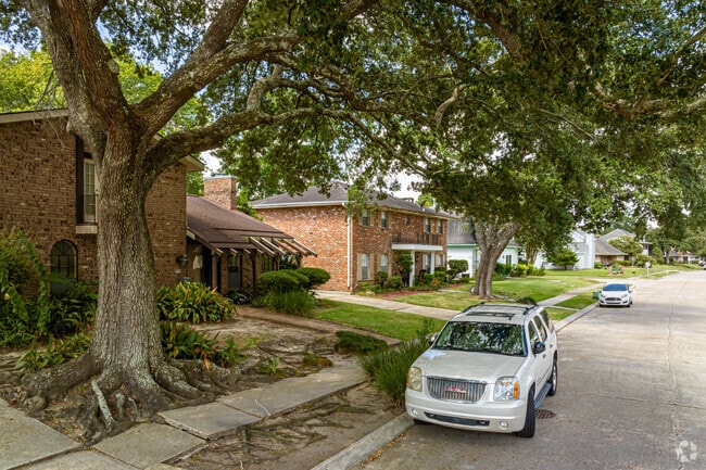 Large oaks provide much needed shade throughout Tall Timbers.