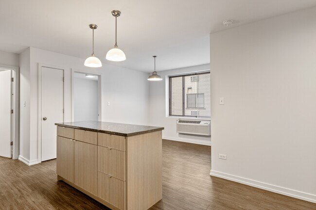 5410 N Winthrop Ave unit 513, Chicago, IL 60640 - photo 4