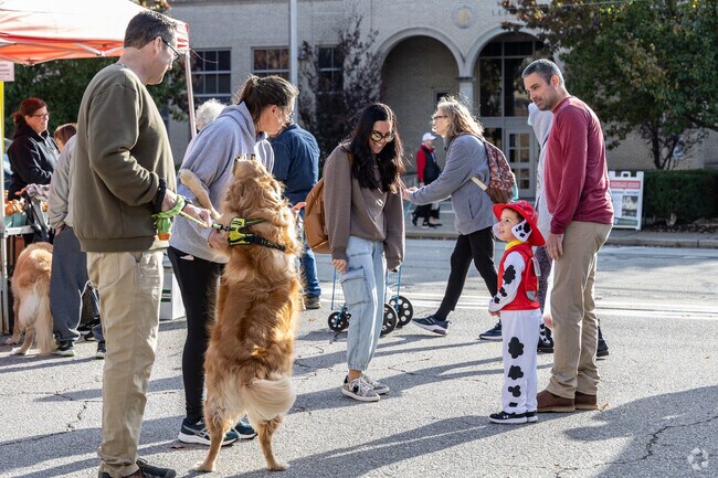 Dogs are welcome and shop with their owners at the Uptown Market in Mount Lebanon.