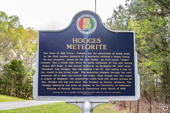 Sylacauga is the site of the first documented case of an object from outer space hitting a person.