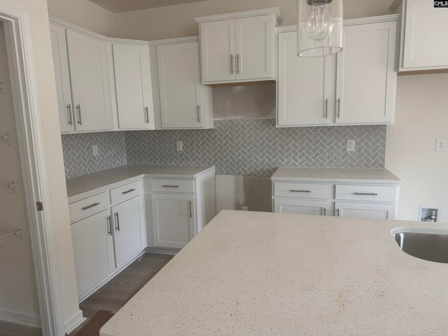 510 Griffon Dr, Chapin, SC 29036 - photo 1