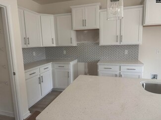 510 Griffon Dr, Chapin, SC 29036