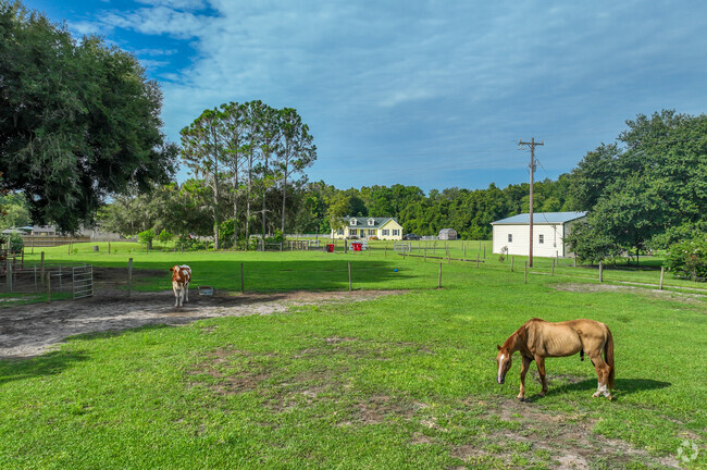 Tarrytown has large lot homes with plenty of room for animals and agriculture.