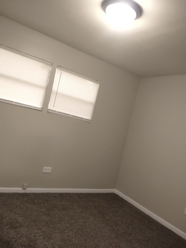 15101 N 15th St, Lutz, FL 33549 - photo 3