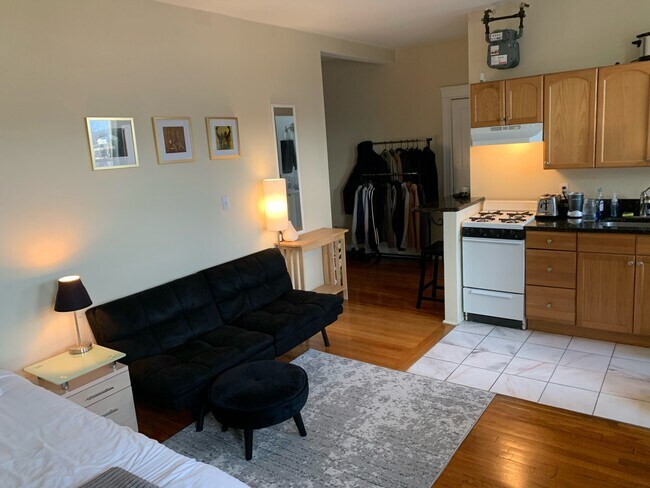 41C Symphony Rd unit 200, Boston, MA 02115 - photo 4