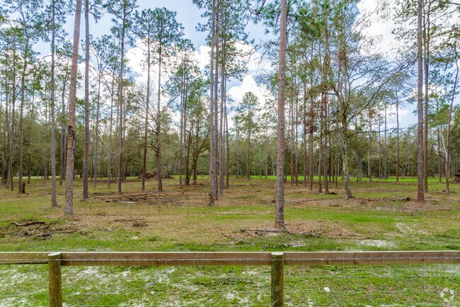 Wetlands area in the Crystal Springs neighborhood.