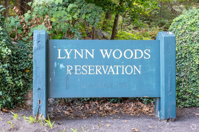Pine Hill is home to the Lynn Woods Reservation with lots of hiking trails.