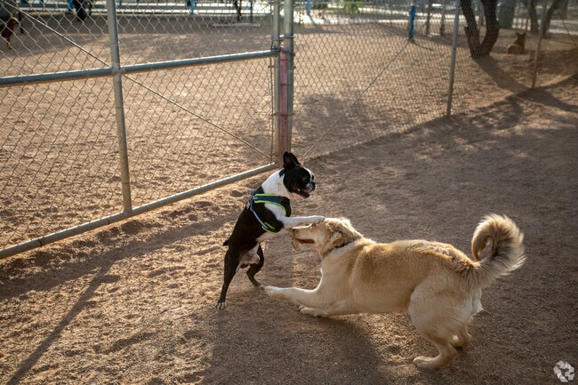 Brandi Fenton Memorial Park offers endless amenities for North Dodge residents.