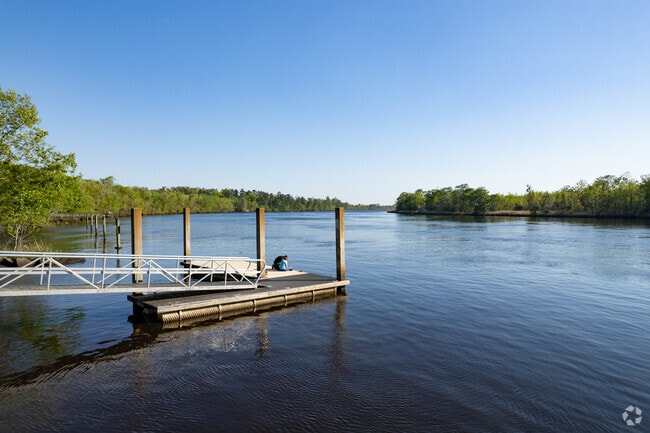 Southwest Chatham is situated along the Ogeechee River.