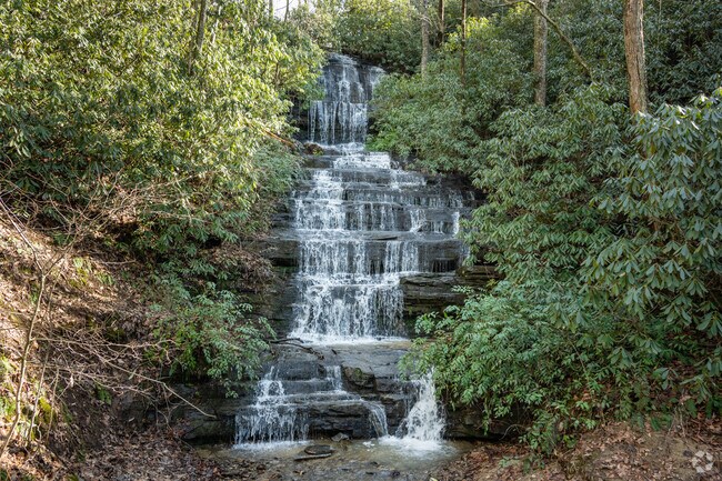 Brevard locals have access to some amazing waterfalls, such as Hooker Falls and Triple Falls.