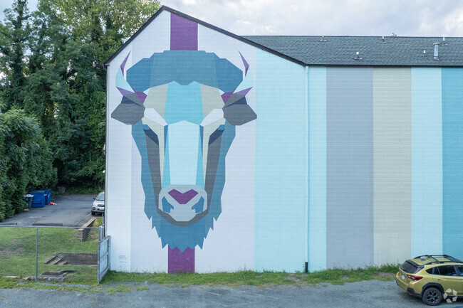 Muralist Christy Baker has left her mark in Charlottesville with the Bison Mural in Starr Hill.