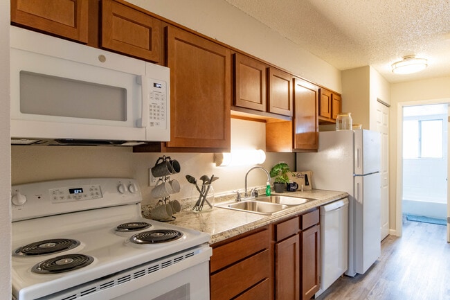 1 BR, 1 BA - Kitchen