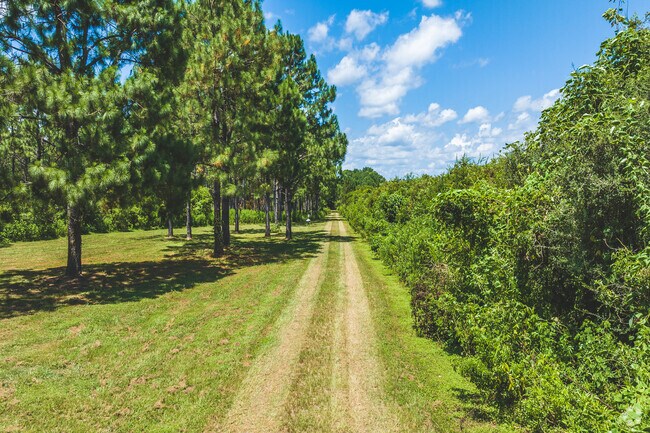 Muddy Creek Wetlands Management Area has a few miles of trails in the neighborhood.