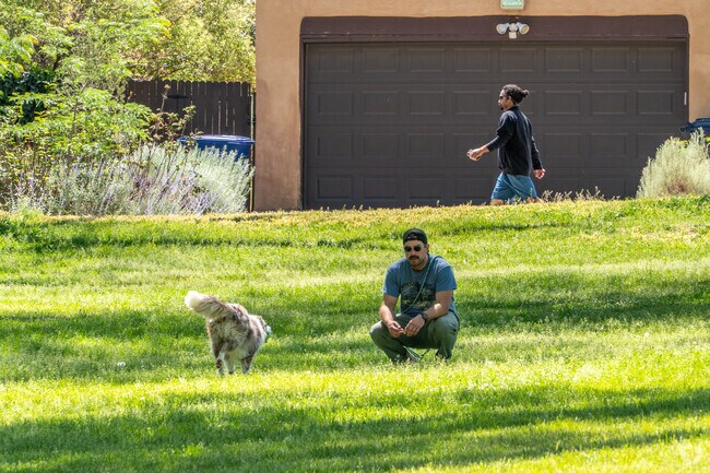 Hyder Park provides a fantastic area for active living and dog friendly enjoyment near Summit Park.