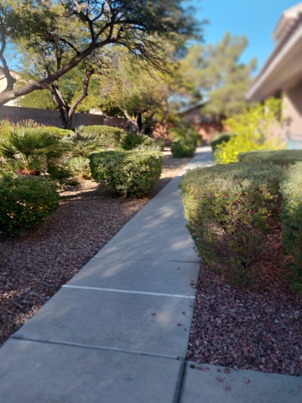 10552 Pine Pointe Ave Unit 202, Las Vegas, NV 89144