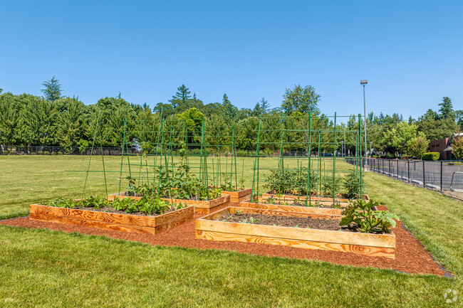 A Garden for Students of Westside Christian School in Lake Oswego.