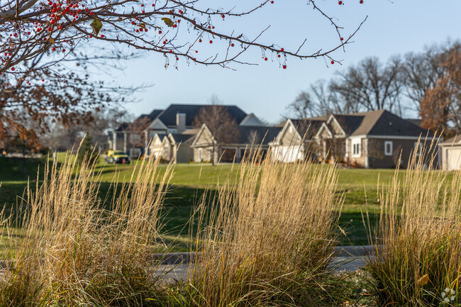 Homes in Jamestown peeking through the pompus grass in the evening golden hour.