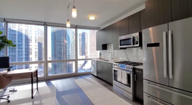 445 N New St, Chicago, IL 60611 - photo 3