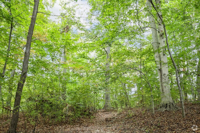 Explore Foxhall’s natural beauty along the wooded trails of Glover Archbold Park.