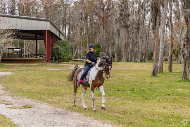 Close to Starkey Ranch there are places for horseback riding.